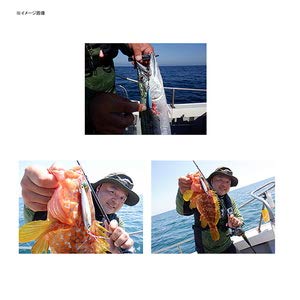 Daiwa Saltiga 80G Cv Jig for Light Jigging-Kiichin - The #1 Place for Japanese Goods in Your Hand!