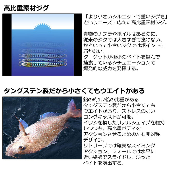 Daiwa Tungsten Jig Tg Bait 80mm Mirror Natural-Kiichin - The #1 Place for Japanese Goods in Your Hand!