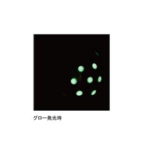 Gamakatsu Sakuragen Tai Rubber Q2 100G Green Gold Glow Sinker-Kiichin - The #1 Place for Japanese Goods in Your Hand!