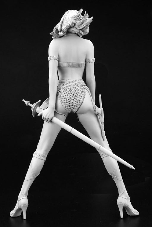 Hasegawa 1/12 Scale Noriyoshi Beauties No.1 Unpainted Resin Kit SP590-Kiichin - The #1 Place for Japanese Goods in Your Hand!