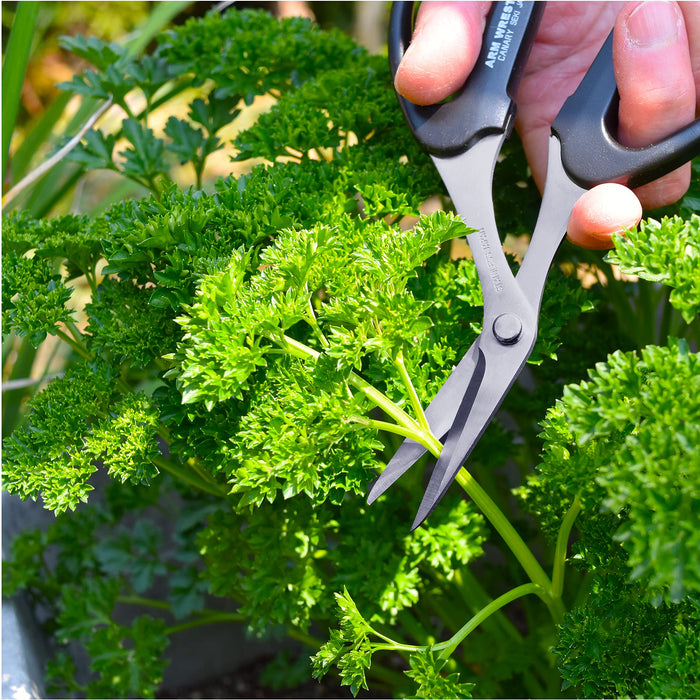 Hasegawa Knives Black Stainless Steel Home Gardening Scissors AW-165HB-E-Kiichin - The #1 Place for Japanese Goods in Your Hand!