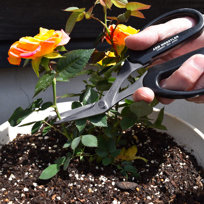 Hasegawa Knives Black Stainless Steel Home Gardening Scissors AW-165HB-E-Kiichin - The #1 Place for Japanese Goods in Your Hand!