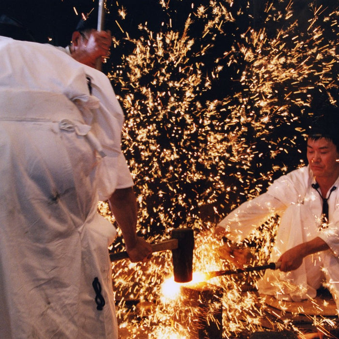 Hasegawa Knives Blue Cardboard Scissors PS-6500H 21.5cm Total 5.2cm Blade Length-Kiichin - The #1 Place for Japanese Goods in Your Hand!