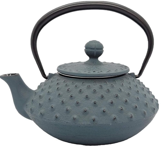 Iwachu Teapot Flat Arare Damman Blue 0.35L Enameled Nambu Ironware-Kiichin - The #1 Place for Japanese Goods in Your Hand!