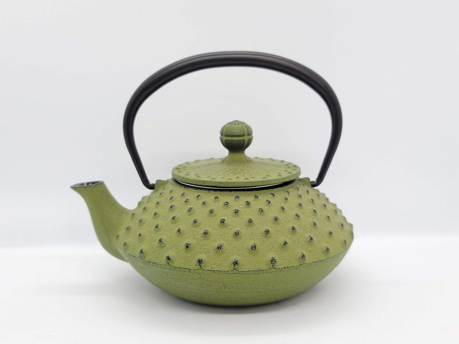 Iwachu Teapot 0.35L Flat Arare Wakakusa Enamel Interior Nambu Ironware-Kiichin - The #1 Place for Japanese Goods in Your Hand!