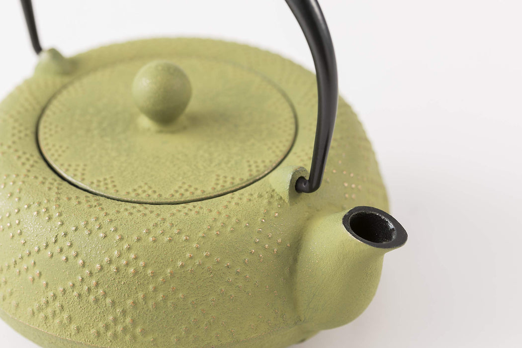 Iwachu Teapot 0.55L Gold/Green Lattice Pattern Enamel Interior Nambu Ironware-Kiichin - The #1 Place for Japanese Goods in Your Hand!