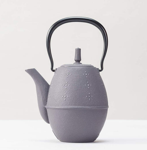 Iwachu Teapot Rice Cooker Silver Gray 0.6L Enameled Nambu Ironware-Kiichin - The #1 Place for Japanese Goods in Your Hand!