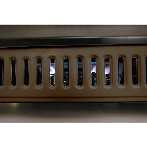 Iwatani Cassette Gas Hot Plate Yakijozusan Alpha Brown Cb-Ghp-A-Br-Kiichin - The #1 Place for Japanese Goods in Your Hand!