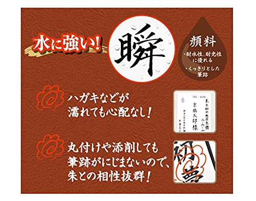 Pilot Fine Point Quick Dry Black Brush Pen Authentic Pigment Svsg80Fdfb-Kiichin - The #1 Place for Japanese Goods in Your Hand!