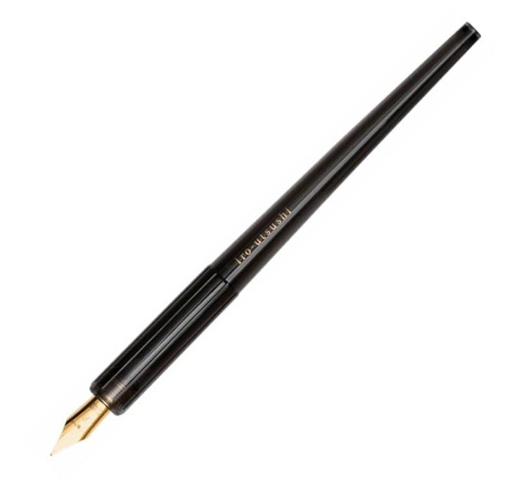 Pilot Iro-Utsusi Bamboo Charcoal Fine Nib F Dip Fountain Pen