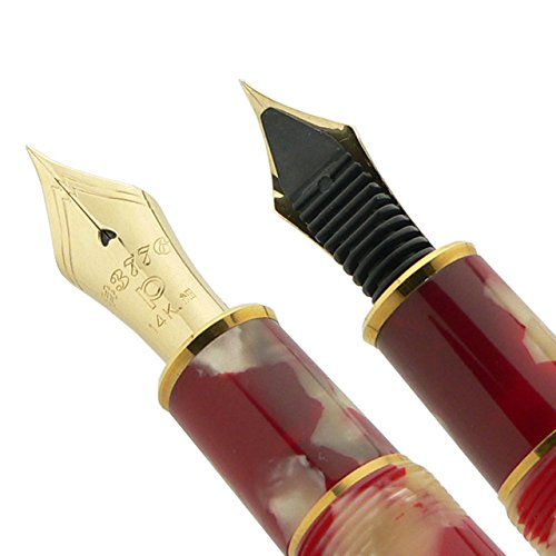 Platinum Fountain Pen #3776 Medium Point Goldfish Celluloid PTB-30000S#24-3-Kiichin - The #1 Place for Japanese Goods in Your Hand!