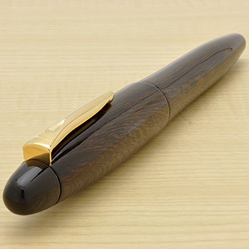 Medium Point Platinum Izumo Tetsutoki Fountain Pen by Platinum Fountain Pen-Kiichin - The #1 Place for Japanese Goods in Your Hand!