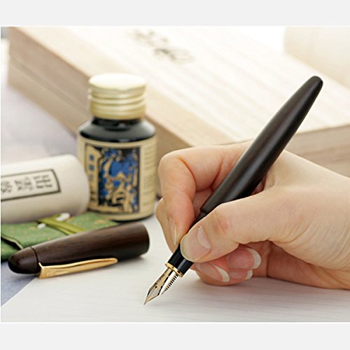 Platinum Izumo Tetsutoki Medium Point Fountain Pen Matt Tagayasan Finish PIZ-50000T#20-Kiichin - The #1 Place for Japanese Goods in Your Hand!