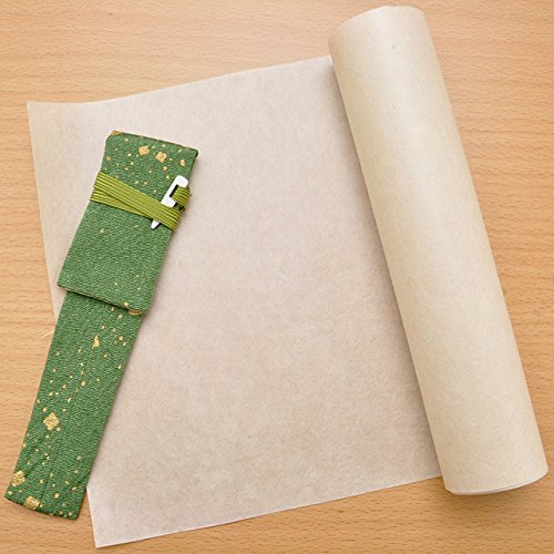 Platinum Izumo Tetsutoki Medium Point Fountain Pen Matt Tagayasan Finish PIZ-50000T#20-Kiichin - The #1 Place for Japanese Goods in Your Hand!