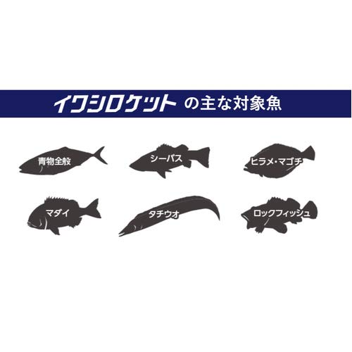 Shimano Colt Sniper Sardine Rocket 20G Metal Jig - Plated Sardine-Kiichin - The #1 Place for Japanese Goods in Your Hand!