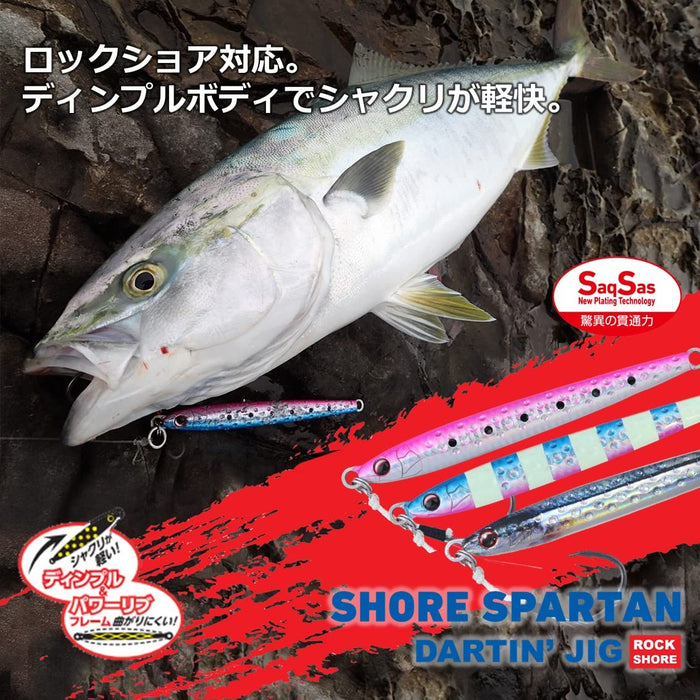 Daiwa Shore Spartan Darting Jig 125G Perfect for Long-Distance Casting-Kiichin - The #1 Place for Japanese Goods in Your Hand!