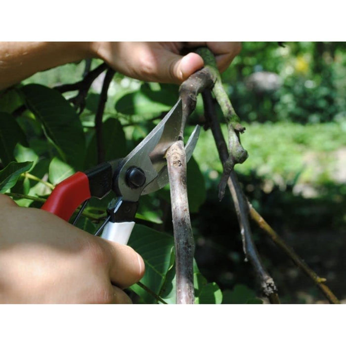 Okatsune Pruning Shears 180mm 101 Series-Kiichin - The #1 Place for Japanese Goods in Your Hand!