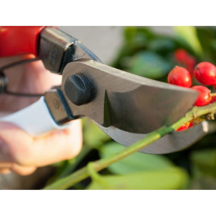 Okatsune Pruning Shears 180mm 101 Series-Kiichin - The #1 Place for Japanese Goods in Your Hand!