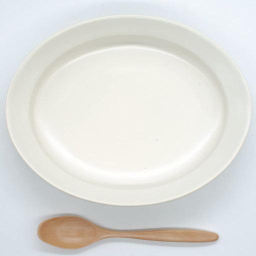 Aito Seisakusho Cullet Oval Curry Plate Pasta Bowl 24x19cm MW Dishwasher Safe 111108-Kiichin - The #1 Place for Japanese Goods in Your Hand!