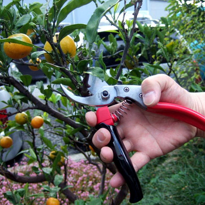 Ars Corporation Pruning Shears Vs-8R-Kiichin - The #1 Place for Japanese Goods in Your Hand!