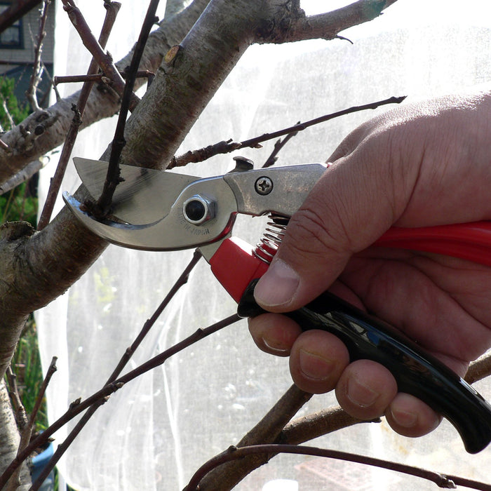 Ars Corporation Pruning Shears Vs-8R-Kiichin - The #1 Place for Japanese Goods in Your Hand!