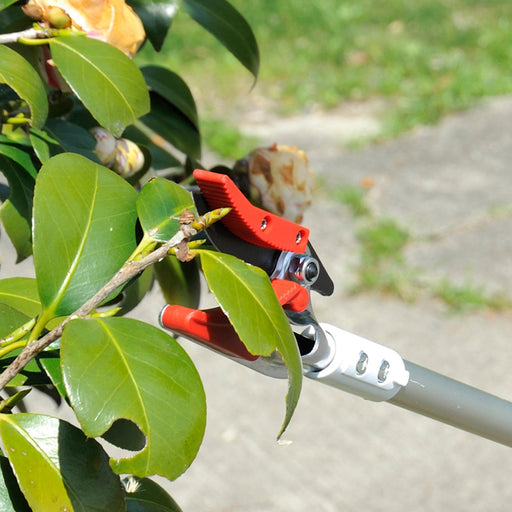 Ars Corp Ultra-Light Telescopic 150Zz-2.8-6D High Branch Scissors-Kiichin - The #1 Place for Japanese Goods in Your Hand!