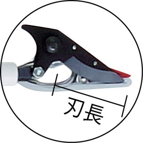 Ars Corp Ultra-Light Telescopic 150Zz-2.8-6D High Branch Scissors-Kiichin - The #1 Place for Japanese Goods in Your Hand!