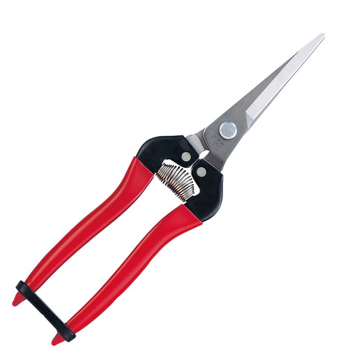 Ars Corporation Fruit Thinning Shears 300Ll-Dx-Bp Extra Long Stainless Steel Blister Pack-Kiichin - The #1 Place for Japanese Goods in Your Hand!