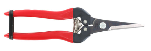 Ars Corp Fruit Thinning Shears L 300L (Boxed)-Kiichin - The #1 Place for Japanese Goods in Your Hand!