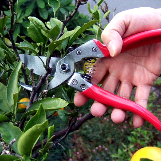 Ars Vs-9Z Pruning Shears-Kiichin - The #1 Place for Japanese Goods in Your Hand!