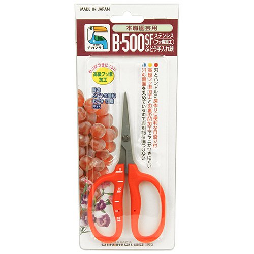 Chikamasa B-500Sf Grape Shears Stainless Fluorine Treated-Kiichin - The #1 Place for Japanese Goods in Your Hand!