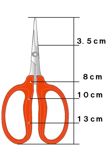 Chikamasa B-500S Stainless Steel Grape Shears-Kiichin - The #1 Place for Japanese Goods in Your Hand!