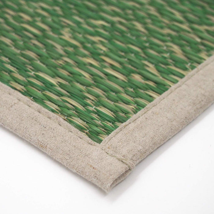 Hagihara Rush Green 180x240cm Center Rug - Japan Shine Collection-Kiichin - The #1 Place for Japanese Goods in Your Hand!