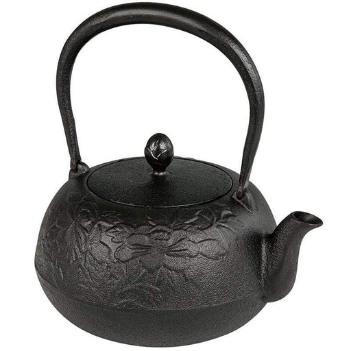 Ikenaga Nambu Tetsubin Zuikou Black - Premium Cast Iron Teapot-Kiichin - The #1 Place for Japanese Goods in Your Hand!