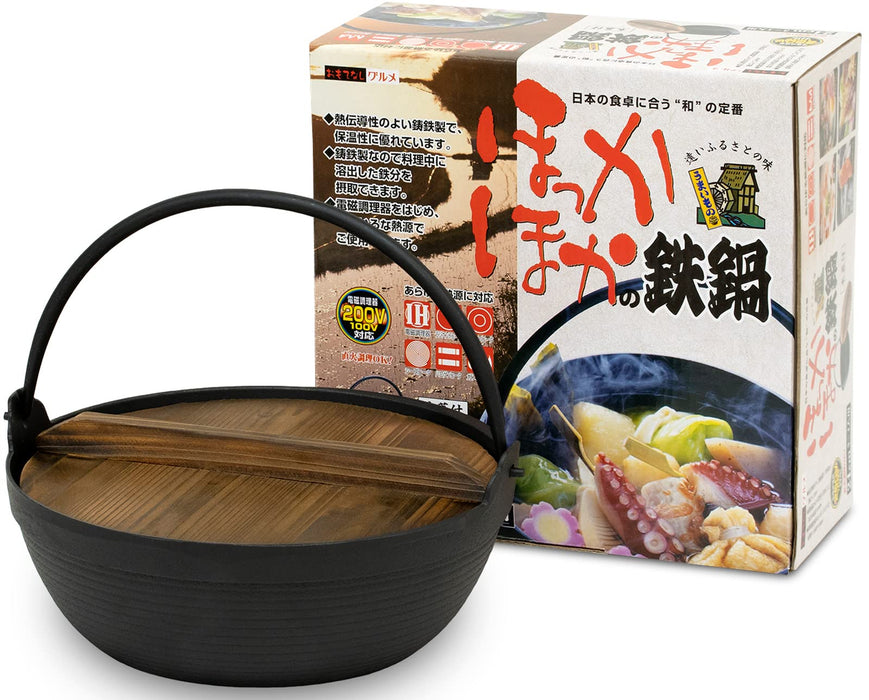Ikenaga Iron Works 24Cm Tekko Iron Pot with Wooden Lid - IH Compatible for 2-3 People-Kiichin - The #1 Place for Japanese Goods in Your Hand!