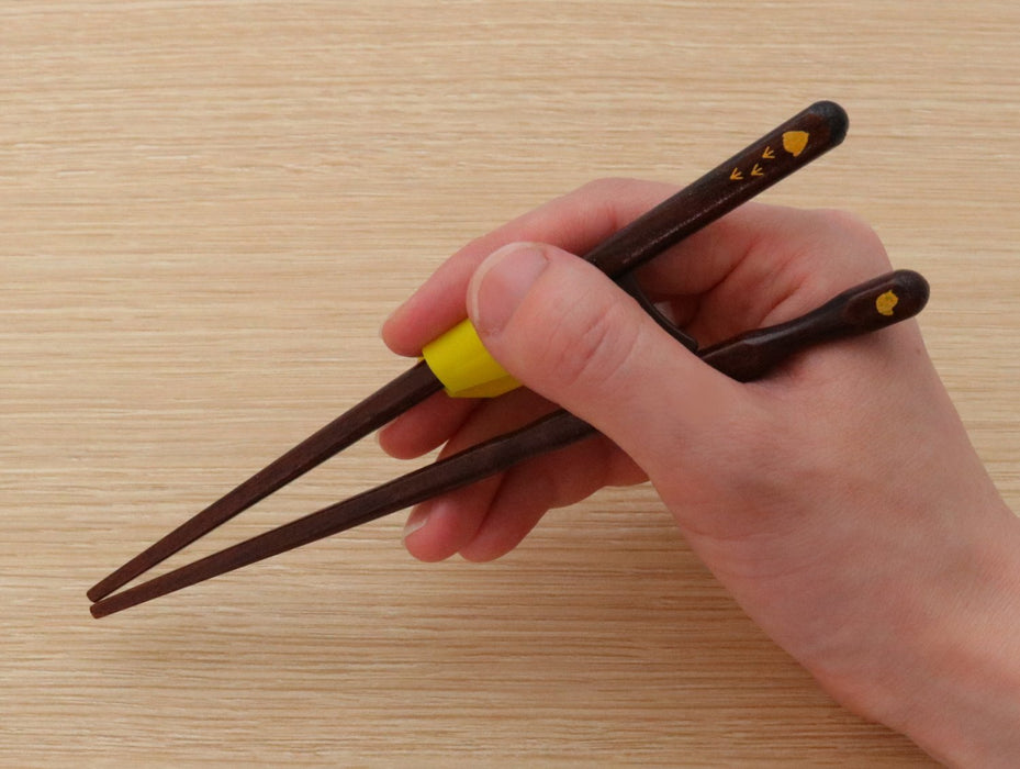 Ishida Japan Kids' Right-Handed Corrective Chopsticks 16.5cm-Kiichin - The #1 Place for Japanese Goods in Your Hand!