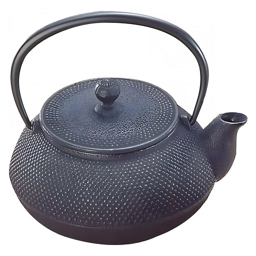 Iwachu Nambu Cast Iron Teapot Arare 650Ml - Authentic Japanese Tea Kettle-Kiichin - The #1 Place for Japanese Goods in Your Hand!