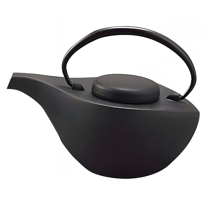 Iwachu Nambu Cast Iron Teapot - Hikifune Black-Kiichin - The #1 Place for Japanese Goods in Your Hand!