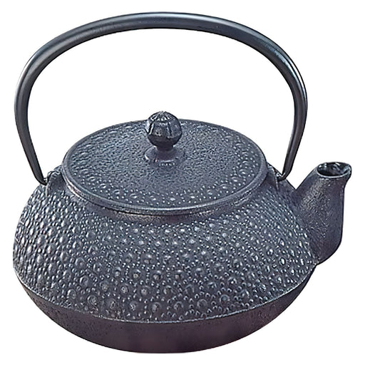 Iwachu Nambu Cast Iron Teapot Kikko 300ml Authentic Japanese Tea Brewing Essential-Kiichin - The #1 Place for Japanese Goods in Your Hand!