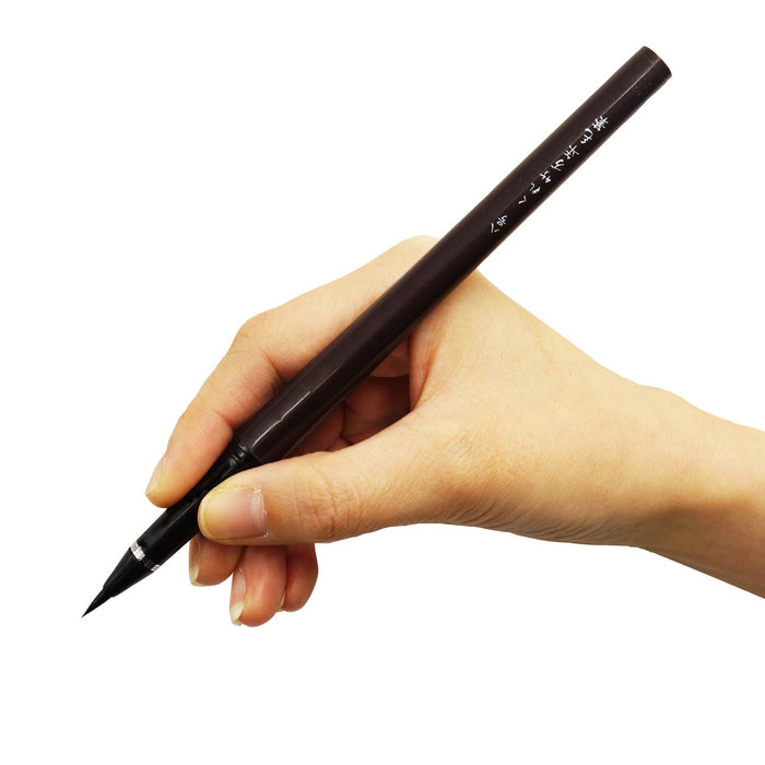 Kuretake DP150-8B Tabletop Brush No. 8 - Japanese Fountain Pen-Kiichin - The #1 Place for Japanese Goods in Your Hand!