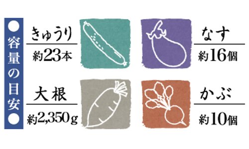 Squirrel 8.9L Round White Pickles Container - Made In Japan-Kiichin - The #1 Place for Japanese Goods in Your Hand!