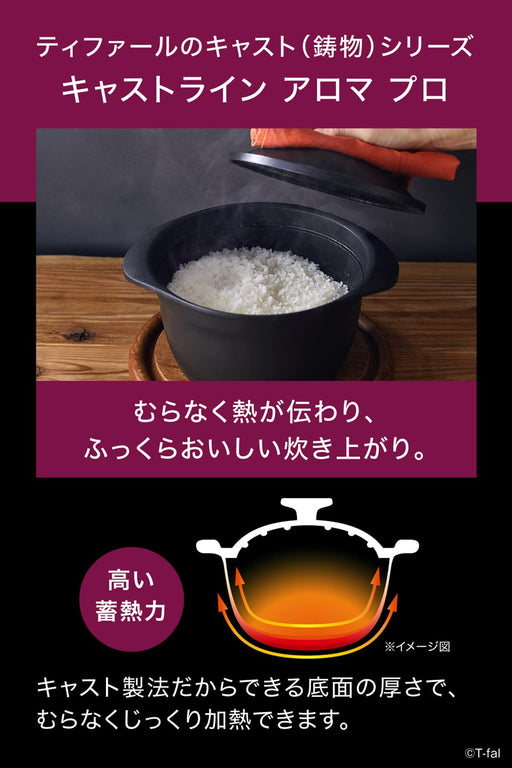 T-Fal Castline Aroma Pro Rice Pot - Non-Sticking Japan Black E25195-Kiichin - The #1 Place for Japanese Goods in Your Hand!