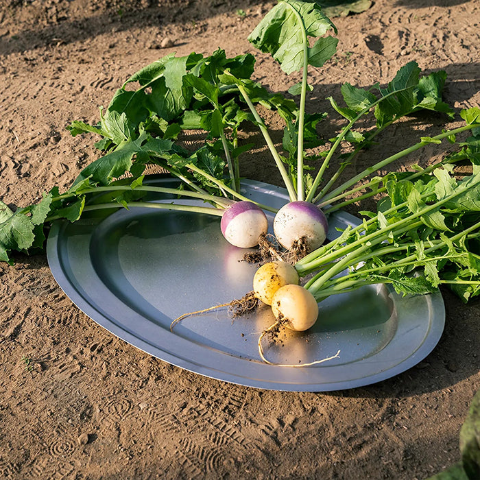 Aoyoshi Japan Vintage Inox Stainless Steel Oval Plate - 196mm Premium Quality Kitchenware-Kiichin - The #1 Place for Japanese Goods in Your Hand!
