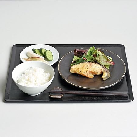 KINTO Hibi Plate 200mm Iron Durable Dinnerware 26890