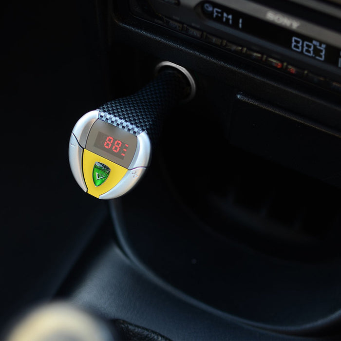 SoundRacer V10 FM Engine Sound Simulator for Cars