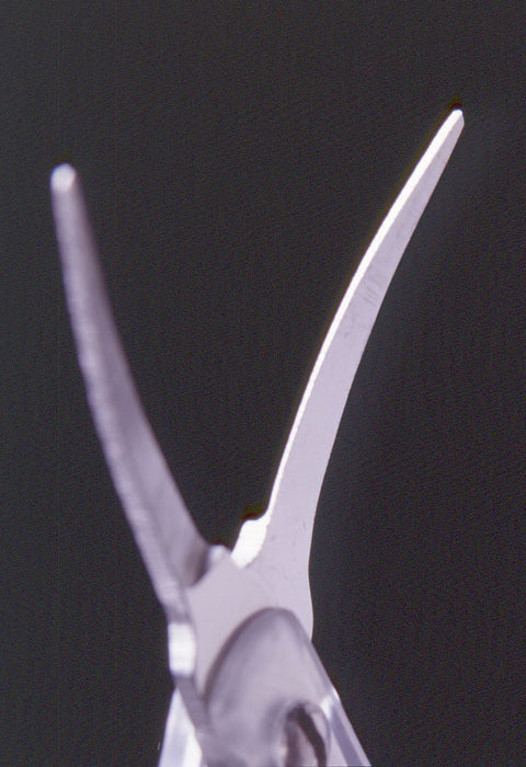 Green Bell Craftsmanship Stainless Steel Eyebrow Scissors with Cap