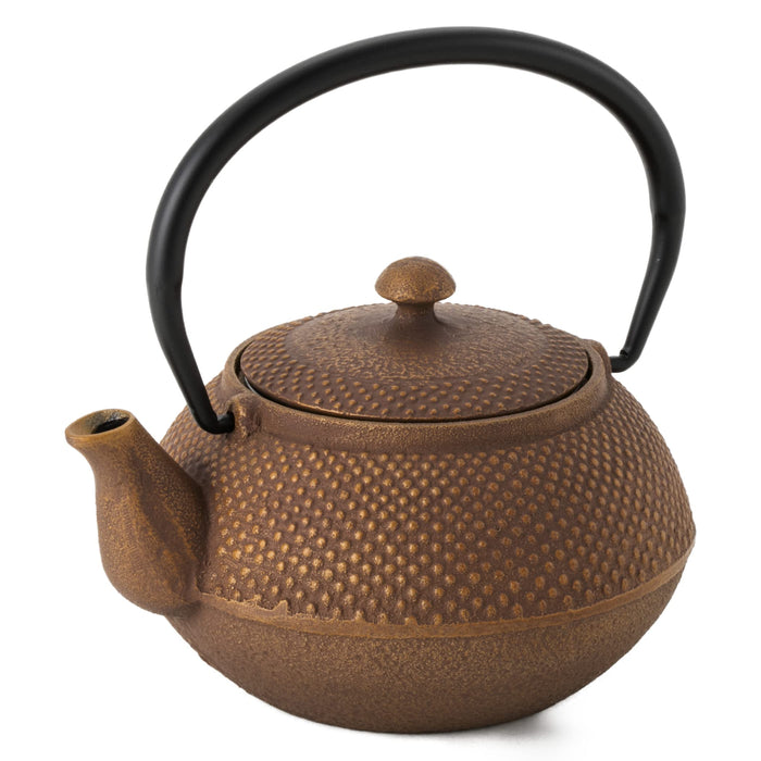 Ren Of Japan Nanbu Tekki Iron Bottle Teapot Arale Round Shape with Tea Strainer Enamel Finish Arare Small-Kiichin - The #1 Place for Japanese Goods in Your Hand!