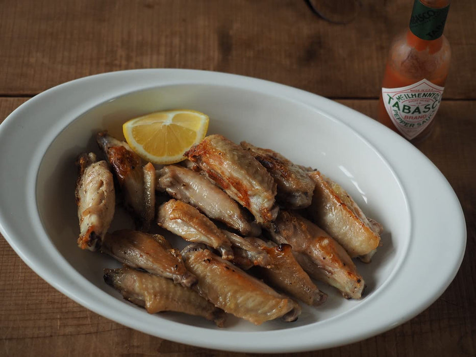 Noda Horo 28Cm White Enamel Oval Curry Pasta Plate Oven Safe Japan Made