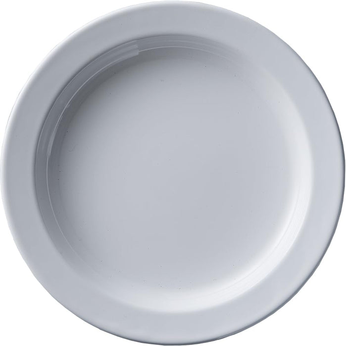 Noda Horo 26Cm Enamel Round Plate Oven Safe Heat Resistant Made In Japan