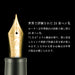 Sailor Fountain Pen - Night Kasumi Bold Ebonite Engraved Pen Model 10-8087-620-Kiichin - The #1 Place for Japanese Goods in Your Hand!